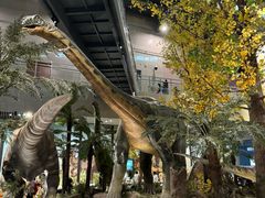 -湖南省地质博物馆