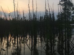 -白鹭湾湿地公园