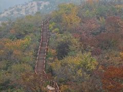 -大岭沟猕猴桃谷风景区