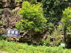 -湖洞水自然风景区