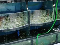-蟹状元大闸蟹·年货·粽子(成都成华店)