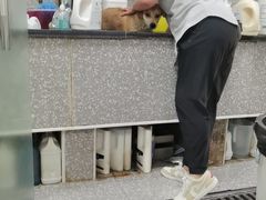 -宠物家(角门东店)