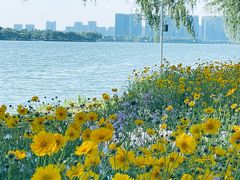 -苏州上方山国家森林公园