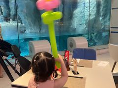 -帝企鹅自助餐厅•儿童岛•真企鹅(长隆企鹅酒店)