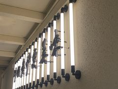-肥家大排档(天河体育西店)