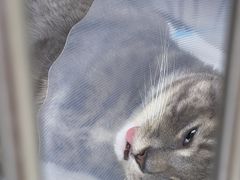 -达爱动物医院·犬猫分区·CT·复杂眼科(远洋山水分院)