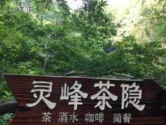 -杭州植物园