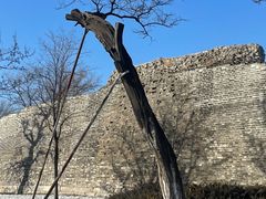 -北京明城墙遗址公园