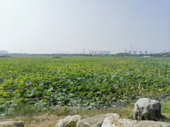 -天津东丽湖风景区