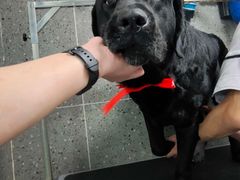-宠物家(大兴旧宫店)