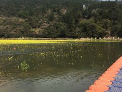 -梅岭月亮湾山体公园