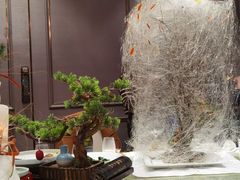 -鹏湾.壹号