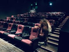 -英皇电影城(英皇集团中心IMAX店)
