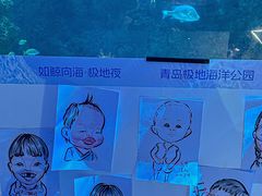 -海合安青岛极地海洋公园
