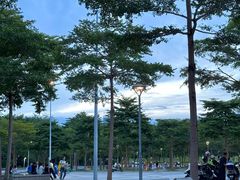 -莲花山公园
