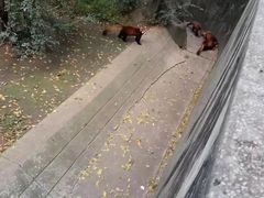 -昆明动物园