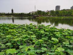 -西海子公园