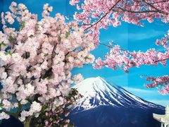 -嘉定凯悦·咖啡厅