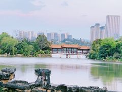 -洛龙公园