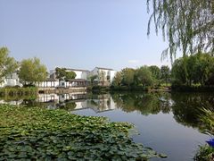 -东梓关景区村庄