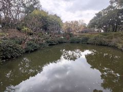 -汇龙潭