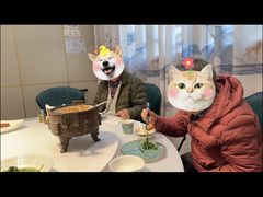 -一品江南韵·淮扬菜