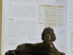 -康乐宝动物医院