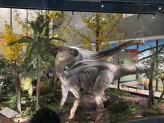 -湖南省地质博物馆