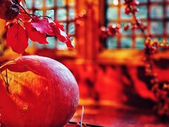 -三嚥阁 La Villa Restaurant