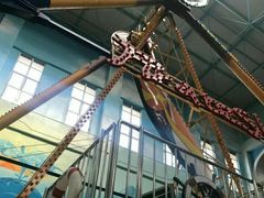 -蓬莱欧乐堡梦幻世界