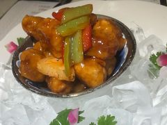 -点都德·毕德寮