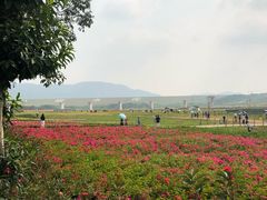 -光明小镇欢乐田园