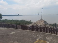 -上海滨江森林公园