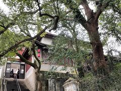 -蒋氏故居
