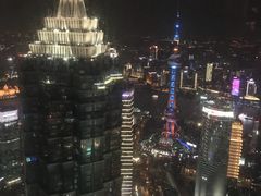 -上海柏悦酒店