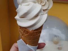 -麦当劳(鲁迅公园店)