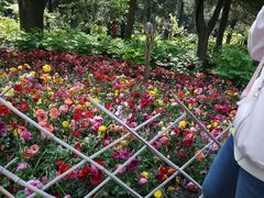 -成都驻京办餐厅(蜀都宾馆店)