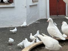 -乐山第一家临江鳝丝(茶坊路店)