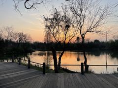 -新荣记(西溪湿地店)