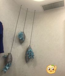 -健身堂科技美肌SPA
