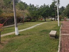 -三水森林公园