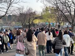 -不晚酒店(苏州观前平江路店)