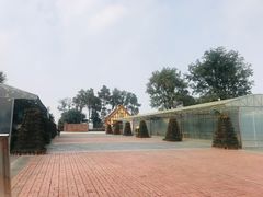 -保利石象湖景区