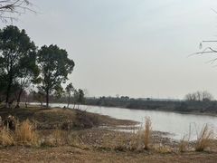 -南湖湿地公园