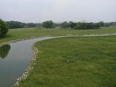 -北京麋鹿生态实验中心