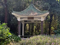 -广州市白云山风景名胜区