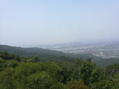 -旗山国家森林公园