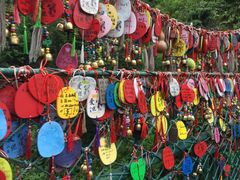 -西双版纳原始森林公园