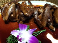湘辣鸽-大鸽饭(马王堆店)