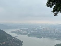 -铁山坪森林公园